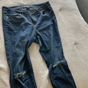 Lane Bryant jeans